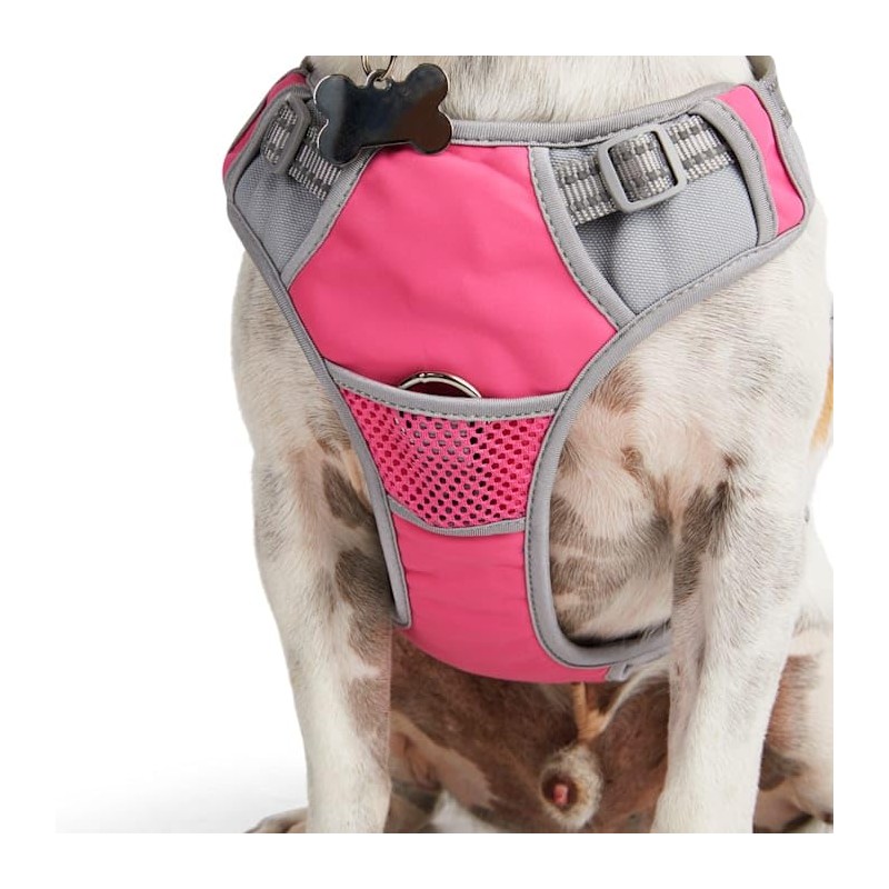 EveryYay Front Walking Reflective Dog Harness, Pink, Medium