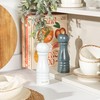 Salter Olea Salt & Pepper Grinder Set – Wooden Seasoning