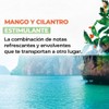 YVES ROCHER cremas de manos HIDRATANTES aromas ESTIMULANTES y RECONFORTANTES: