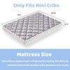 Tiankehan Mini Crib Mattress - 38x24x4 Inch- Dual Sided with