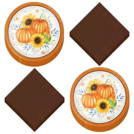 Orange Pumpkin Sunflower Harvest Paper Dessert Plates and Chocolate Brown Beverage Napkins (16 Plates & Napkins)