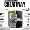 FSB Creatina Monohidratada Creapure 100 Pura Sin Sabor, Alta Pureza