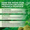 Organic Moringa Powder, Award Winning Premium Pure Leaf Powder Rich
