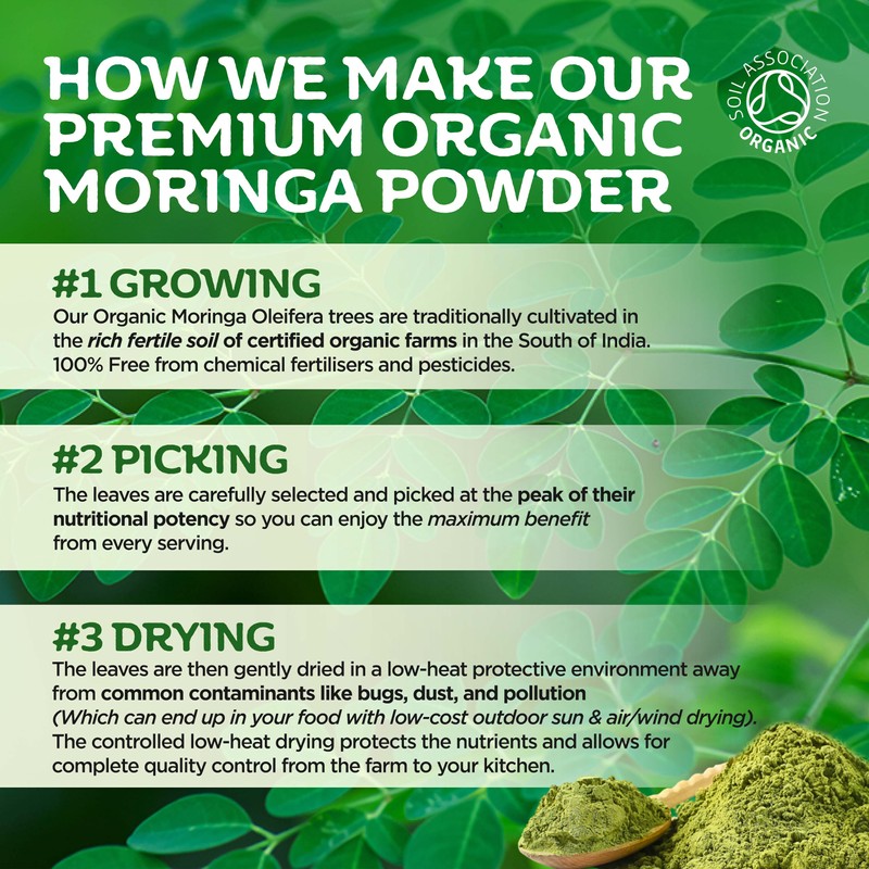 Organic Moringa Powder, Award Winning Premium Pure Leaf Powder Rich