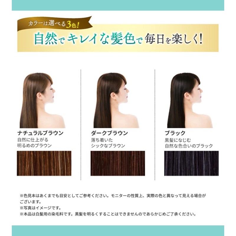 Rishiri Hair Color Treatment, Gloss Plus (Dark Brown) + Color