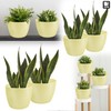 TULMERO Matte Flower Pot, Plastic Planter, Decorative Pot for Large