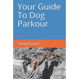 Your Guide to Dog Parkour