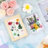 Cayway 9 Pack Dried Flower Paper Craft Set Include 3