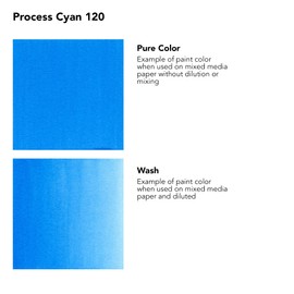 Daler-Rowney FW Acrylic Ink Bottle Process Cyan - Versatile Acrylic Drawing Ink for Artists and Students - Permanent Calligraphy Ink - Archival Ink for Illustrating and More