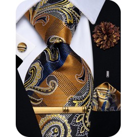 YourTies Gold Ties and Pocket Square Set for Men Silk Paisley Necktie with Lapel Pin Casual Wedding Party