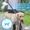 TheFirstGrain Short Lead for Big and Medium Dogs Walking Training