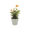 elho B.For Original Round 14cm Flower Pot - White