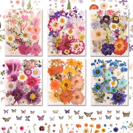 222 PCS Real Pressed Dried Flowers and Leaves with Butterfly Stickers & Tweezers – Natural Dried Flowers for Resin, Candle, Jewelry, Nail Art, Scrapbooking & DIY Crafts (Colour 222)