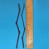 Jujube T602A (2) Tigertooth Jujube Tree 8" Thin Cutting Graft