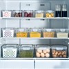 flexman Pack of 3 Fruit Storage Containers, Transparent, Non-Safe Drain