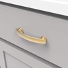 Hickory Hardware 1 Pack Solid Core Kitchen Cabinet Pulls, Luxury