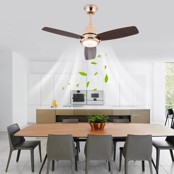 85-265V 6 Gears Modern Ceiling Fan Light with Remote Control
