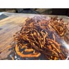 Premium Whole Dried Cordyceps Mushrooms .75oz Small Batch Cordycepes militaris