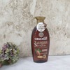 Scalp Care Organist Argan Oil Shampoo 500ml / 두피케어 오가니스트 아르간오일 샴푸 500ml