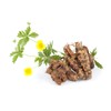 Tormentil Rhizome (Potentilla Erecta - Tormentillae Rhizoma) Health Embassy -