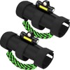 moveland 2 x Roll Bar Grab Handles with Light -