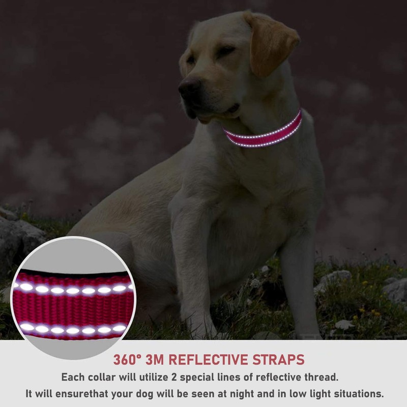 Reflective Dog Collar with Buckle Adjustable Safety Nylon Collars for
