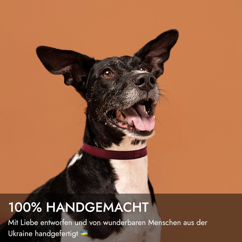 FAVPET Thin Leather Dog Collar with QR Code Pendant, Adjustable
