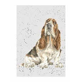 Wrendale Designs Greeting Card - BASSET HOUND (Bella)