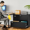 SISESOL 2 Drawer Lateral File Cabinet with Lock,Black Lateral Filing