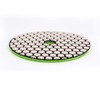 DT-DIATOOL Dry Diamond Sanding Pad 100 mm 8 Pieces Mixed