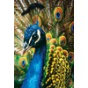 Interdruk PUZ250CN1P Puzzle Peacock 48 x 33 cm