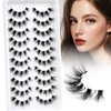 Losha Lashes Wispy Cat Eye Lashes 10 Pairs Natural False