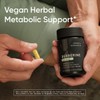 Sports Research Berberine - Herbal Ayurvedic Metabolic Health Support -