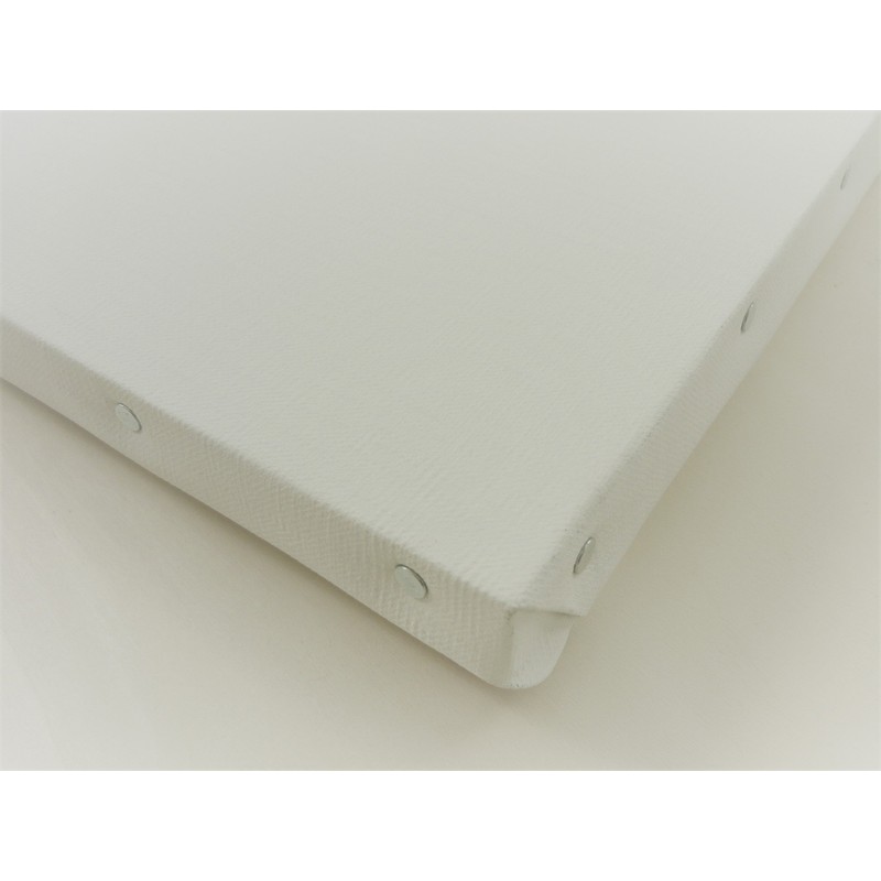 クレサンジャパン Aライン AD 麻張キャンバス F0号