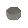 End Cap with Internal Thread Rp 1/4 Inch, 16 Bar