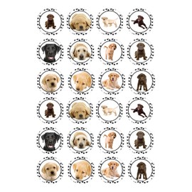 24 Labrador Retriever Dog and Puppy Childrens Kids party decorations edible Iced Icing CupCake Toppers