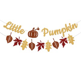 Little Pumpkin Banner - Happy Fall Decorations, Maple Leaf Hanging Garland, A Little Pumpkin is on The Way Banner, Autumn Gender Reveal Birthday Party Decorations