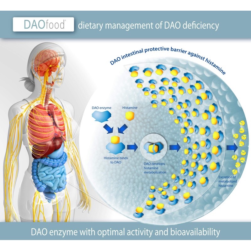 DAOfood - for The Dietary Management of DAO Deficiency -