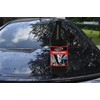FenderSplendor Euro Car Care Wash & Wax. is The Best