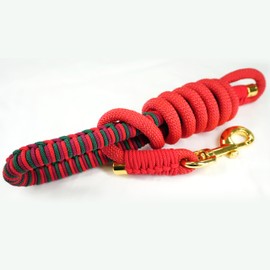 BGX Soft Tentacle Woven Leather Collar and Hand Woven Leash Set - Dog Collar with Soft Comfortable Stuffing, Poinsettias Dog Collar (M)