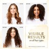Pantene Sulfate Free Shampoo with Rice Water, Protects Natural Hair