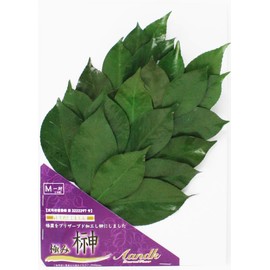 [A&K] Sakaki Kakimi M [Artificial Flowers Not Used] Preserved Sakaki (Made with Premium Camellia Leaves from Tanba) < Utility Model Registration No. 3222297> Handmade, Handmade, Non-Withering, Sakaki, One Pair, No Watering, Shinto Shelf, Shinto Treasure,