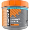 Gatorade Endurance Formula Powder, Orange, 32 Ounce (Pack of 1)