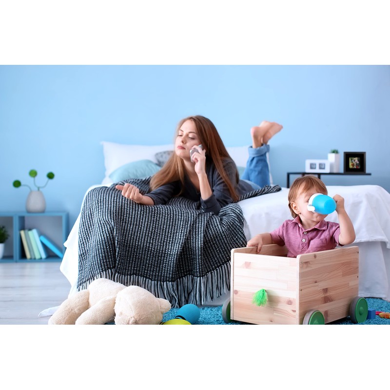 Conceal-a-Cam Home Security Camera Enclosure - Black