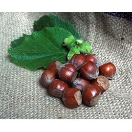 Naturix24 Hazelnuts in Shell - 500g Bag