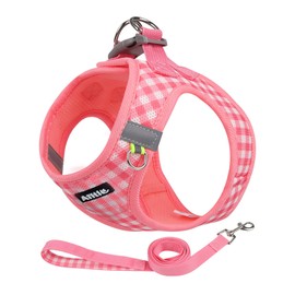 AIITLE Adjustable Dog Harness and Leash Set, Step in No Pull Pet Harness, Soft Mesh Reflective Plaid Vest Harnesses for Small Dogs Puppy and House Cats Outdoor Walking Running Watermelon XS