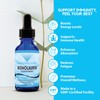 Absonutrix Monolaurin Liquid Extract - 4oz Liquid, 830 mg 142