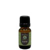 Cilantro Essential Oil - 100% Pure and Therapeutic Grade -