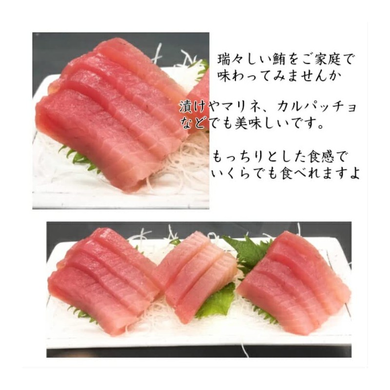 (Mizutani Suisani) Bincho Tuna, Tuna, Sashimi from Kiikatsuura (Block)