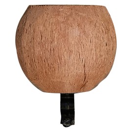 Cruiser Candy Coconut Cup Holder, No Face